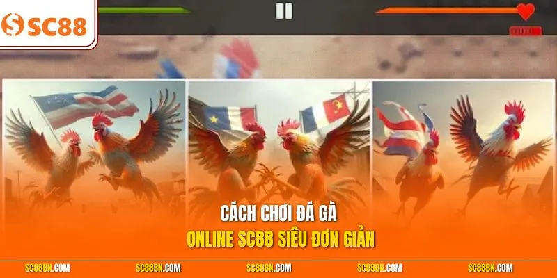Cách chơi đá gà online SC88 siêu đơn giản