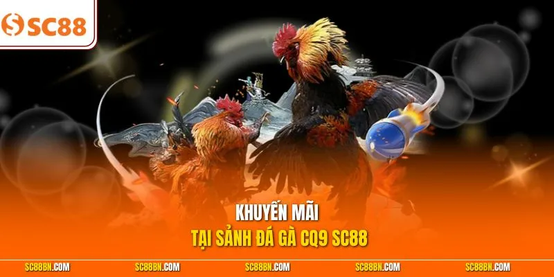 Khuyến mãi tại sảnh đá gà CQ9 SC88