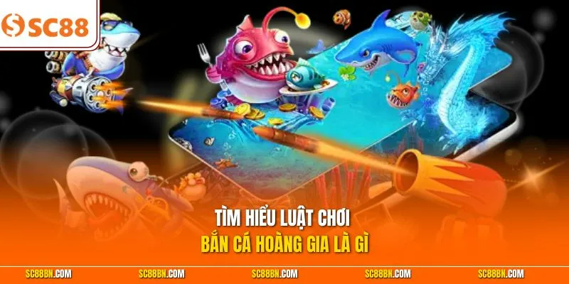 Tìm hiểu luật chơi bắn cá Hoàng Gia là gì